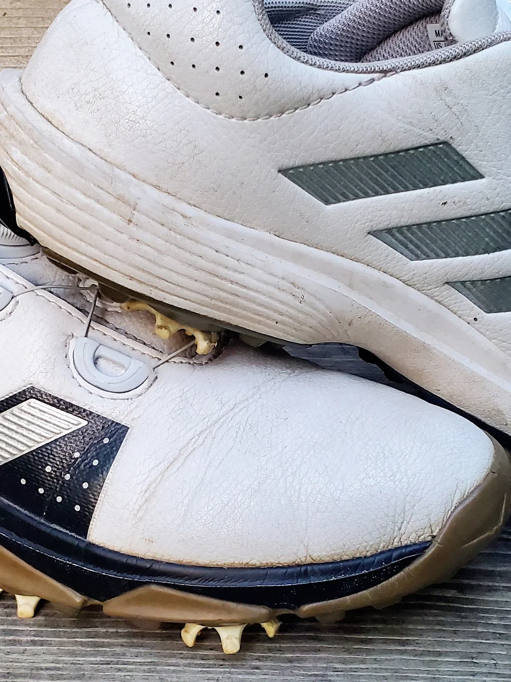 adidas White and Black Men's Golf  Cleats with Boa Closure